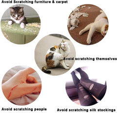 YMCCOOL cat nail caps fit on cat nails for kittens and adults with flexible sizing.