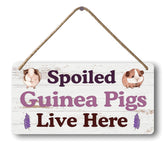 Yoecod big hamster ball hideout sign front view for guinea pig cage decor and personalization.