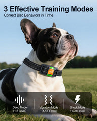 YOGAL training modes with beep vibration and safe shock options