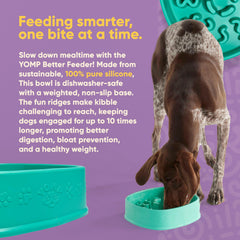 Yomp BetterFeeder with non-slip base keeps the bowl steady during feeding.
