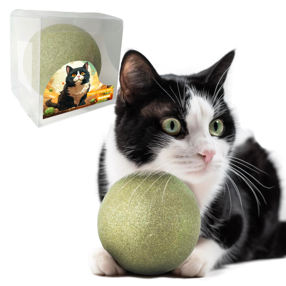 Yomvwavo 3.94-inch jumbo catnip ball close-up showing premium ingredients.