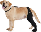 Yoneba dog socks closeup on paw showing anti-licking design for safer recovery