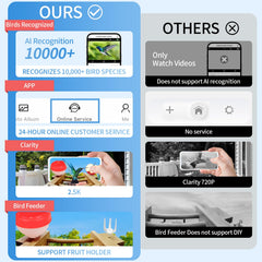 YOOBLIAN 2.5K HD video delivers crisp daytime footage of feathery visitors.