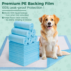 YOPETKI 100-pack xl dog pads offer long-term value for busy households.