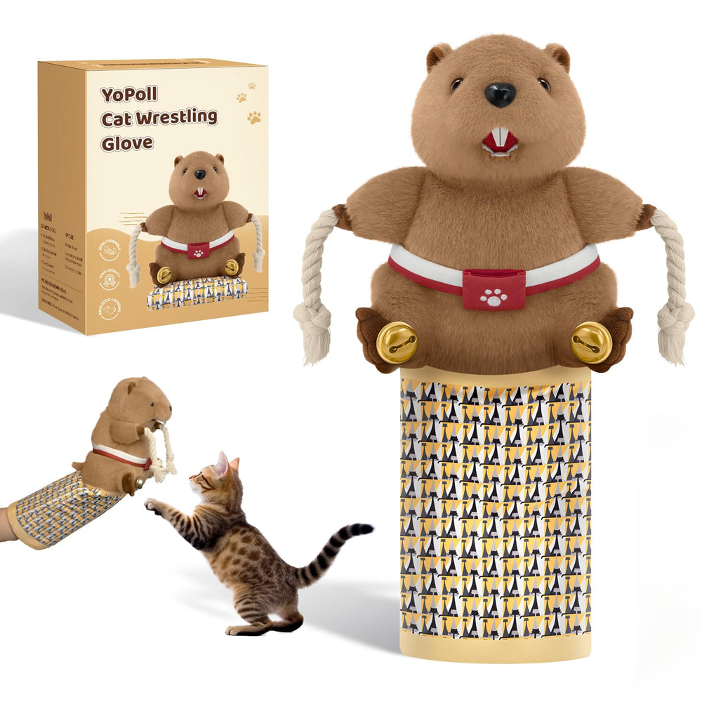 YoPoll Cat Wrestling Glove front view showing padded protection for safe interactive play