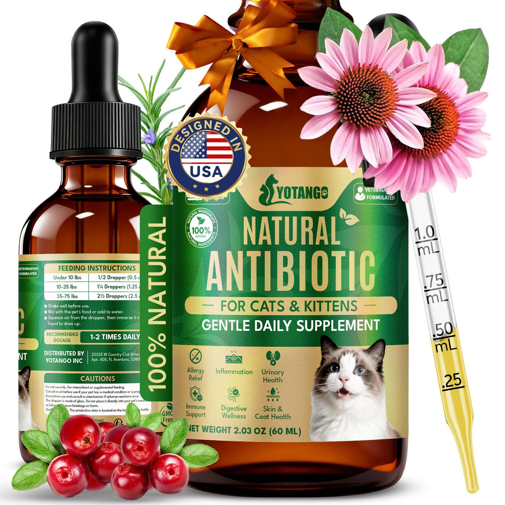 YOTANGO cat antibiotics drops bottle highlighting natural herbs for daily vitality support.