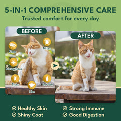 Salmon-flavored YOTANGO chews appealing to cats and kittens alike