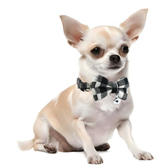 YOUALSO plaid cat collar closeup shows bow detail and bright bell for cute, secure wear.