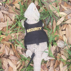 YOUALSO bearded dragon harness in soft canvas material for gentle wear