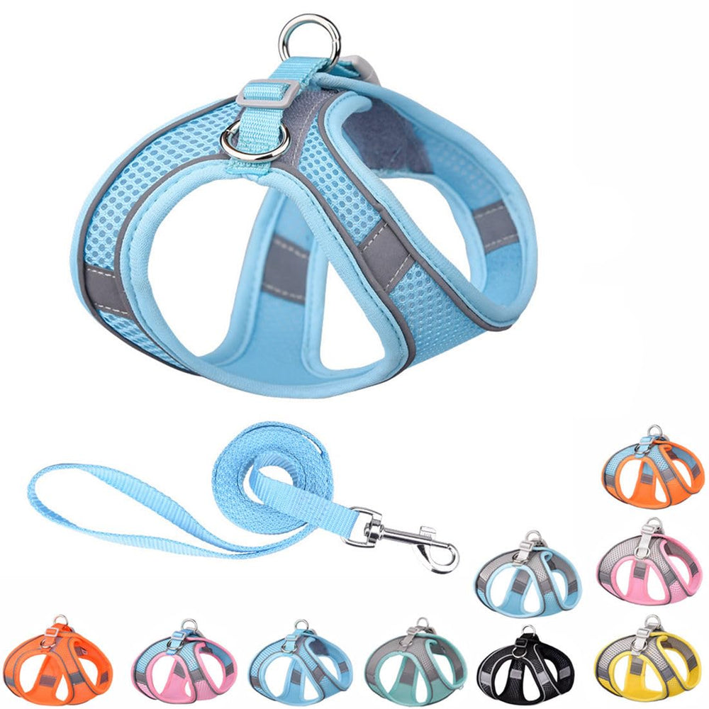 YOUALSO blue cat harness vest on a small dog, breathable mesh keeps pet cool on walks.