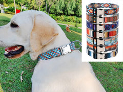 YOUALSO durable buckle and weatherproof D-ring for active dogs.