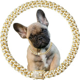 YOUALSO gold chain dog collar 16-inch front view with sparkling rhinestones for photo-ready style.