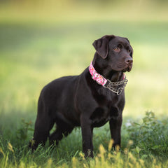 YOUALSO pink floral collar close-up demonstrates rust-free stainless steel construction and lasting wear.