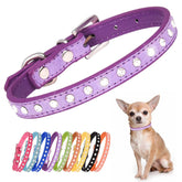 YOUALSO Purple Diamond dog collar front view with sparkling rhinestones for festive photos