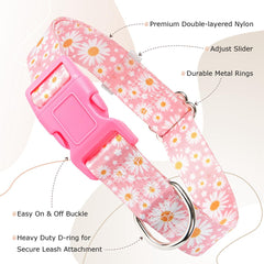 YOUALSO soft nylon dog collar offering comfortable fit during daily wear.