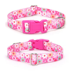 YOUALSO soft nylon dog collar, comfortable and durable for daily wear