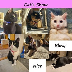 YOUALSO two-pack cat collars with rhinestones offer versatile party-ready looks.