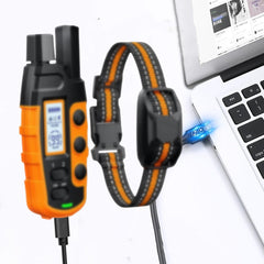 YOUNGPRO 5V 1A cable delivers steady energy with dual-head option for micro and DC connectors