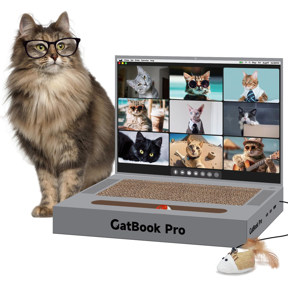 YOUXIFUN cat-laptop-scratcher image shows interactive play on safe cardboard.
