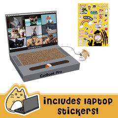 YOUXIFUN video-screen image demonstrates a pretend monitor for curious cats and engagement.