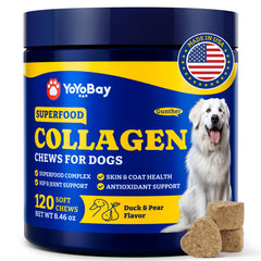 YoYoBay Collagen for Dogs soft chews closeup highlights chewy texture for easier daily coat care