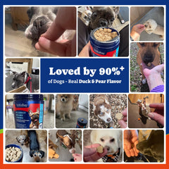 YoYoBay dog allergy relief chews duck-pear taste image emphasizes tasty digestion-friendly flavor.