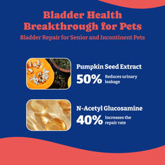 YoYoBay UTI chews ingredients list highlights cranberry and D-mannose for potential urinary wellness.