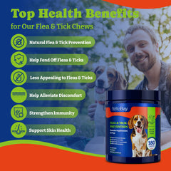 YoYoBay chews show visible ingredients like beta-carotene and brewer's yeast.