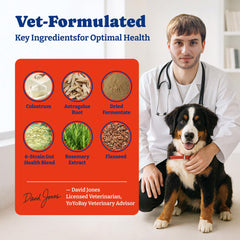 YoYoBay immune-support dog chews in action during a daily walk shows energy and mobility.