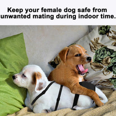 yrenoer dog pants for indoor outdoor use keeps female dogs protected