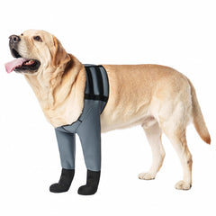 yrenoer dog socks waterproof paw protector close-up anti-lick barrier