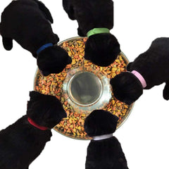 YUDANSI puppy bowl with smooth edge safety ideal for gentle licking.
