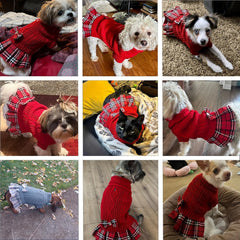 YUDODO pink knit fabric keeps small dogs warm during chilly outdoor walks.