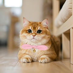 YUDOTE removable bow on pink bunny-ear collar for easy styling