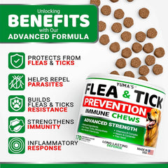Yumas flea-tick chews bottle closeup; easy daily administration.