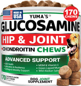 YUMA'S glucosamine dog hip joint chews bottle supports joint health for active dogs.