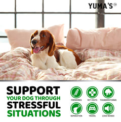 YUMA'S Hemp Calming Chews packaging front highlighting USA-made quality.