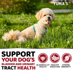 YUMA'S natural ingredients label on a dog supplement bottle