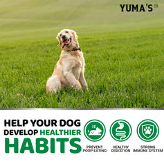 YUMA'S No Poo Chews packaging close-up highlighting probiotic and digestive enzyme ingredients.
