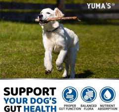 YUMA'S product illustration featuring digestive enzymes and fiber for canine gut health