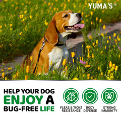YUMA'S veterinarian-formulated chewables promote safe, trusted supplementation for dogs.