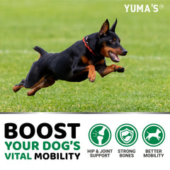 YUMA'S veterinarian-formulated label signals trusted canine health support.