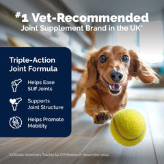 YuMOVE glucosamine-hyaluronic-acid-omega-3 ingredients image emphasizes nutrients supporting mobility.
