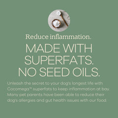 Yumwoof Perfect Kibble air-dried process visual showing nutrient preservation.