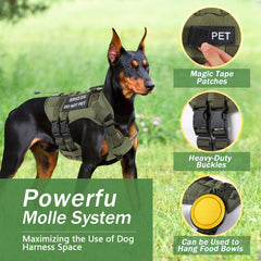 Yungaspy tactical harness with Molle sides, green, ideal for modular outdoor gear.