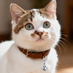 Yuomeaz dog/cat bell attached to collar helps easy spotting.
