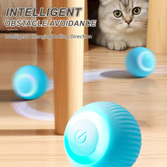 ZALBYUY cat ball two-modes design for varied play sessions