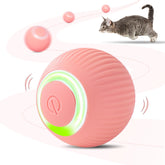 ZALBYUY interactive cat ball with LED lights for engaging night play.