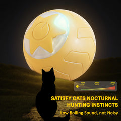 ZALBYUY rolling ball toy demonstrates autonomous rolling for playful pursuit.