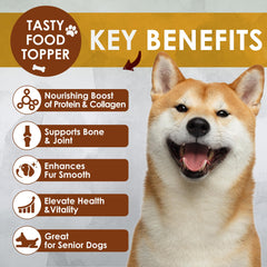 Zammex bone broth powder being mixed into pet meals